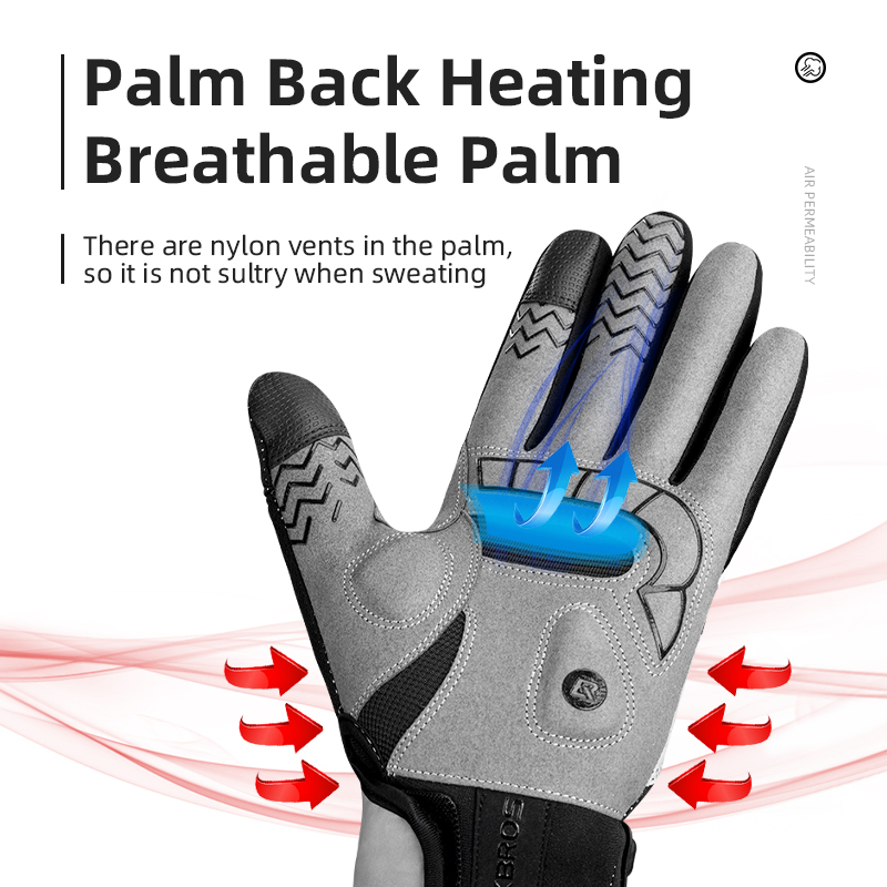 ROCKBROS Heated Winter Glove C - Motorcycle Gear Gloves review and price