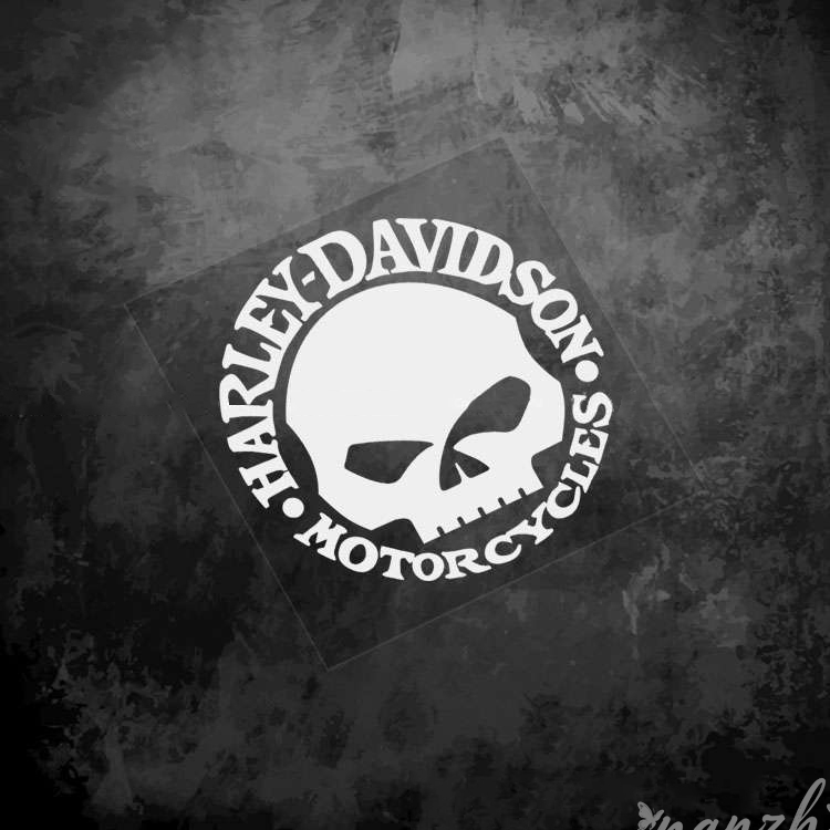 Riding Protective Gear Skull S - Motorcycle Gear Brands review and price