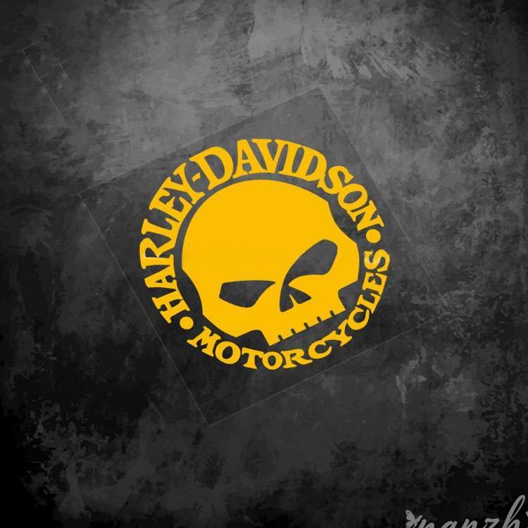 Riding Protective Gear Skull S - Motorcycle Gear Brands review and price